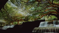 震驚了我的眼球！LG OLED把“瀑布”搬到了展會(huì) 3.gif